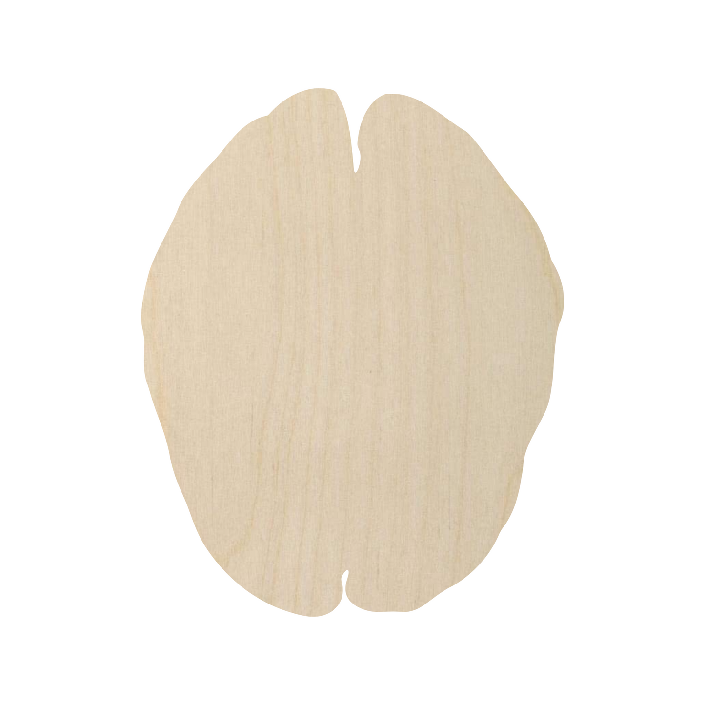 Wooden Brain Shape - DIY Craft