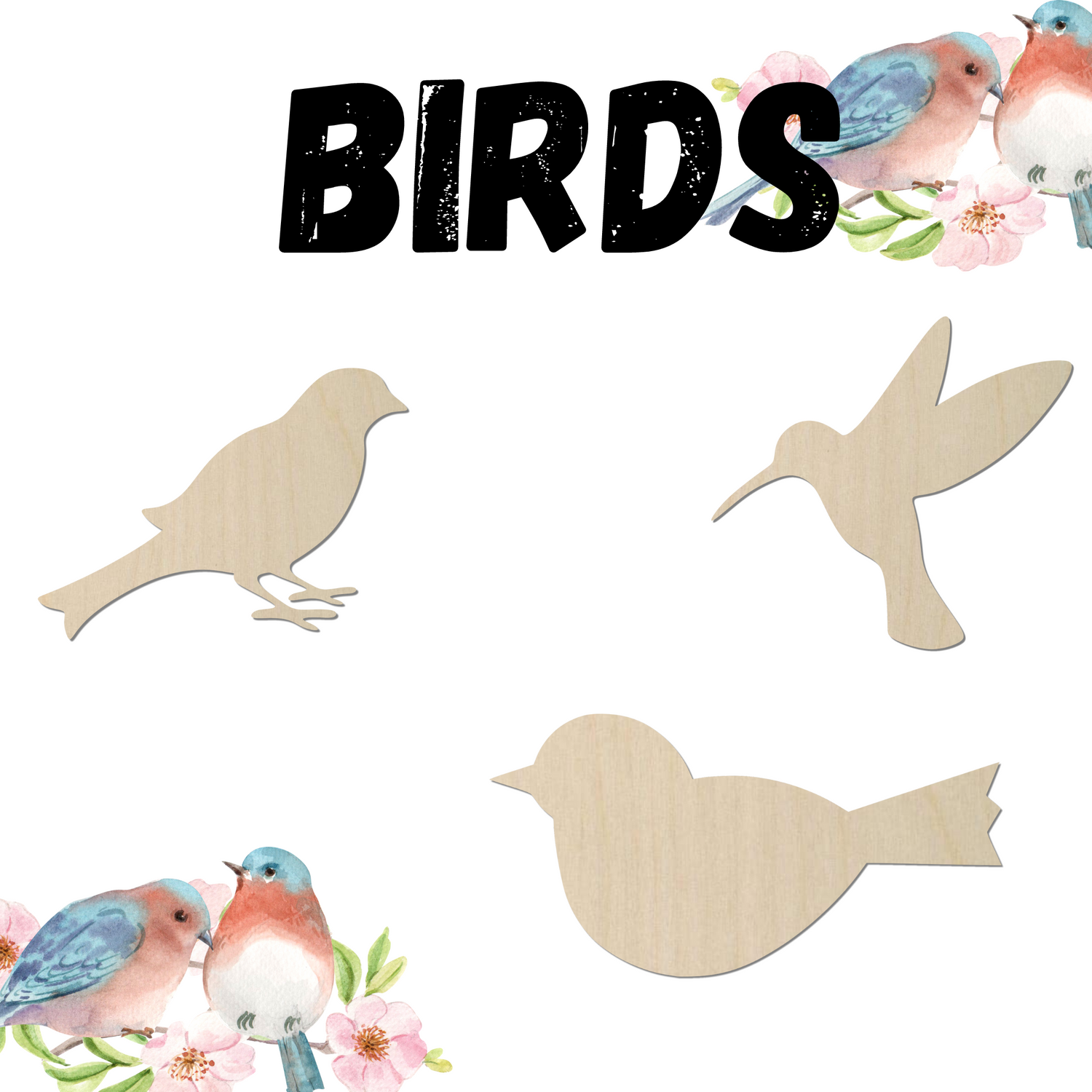 Birds