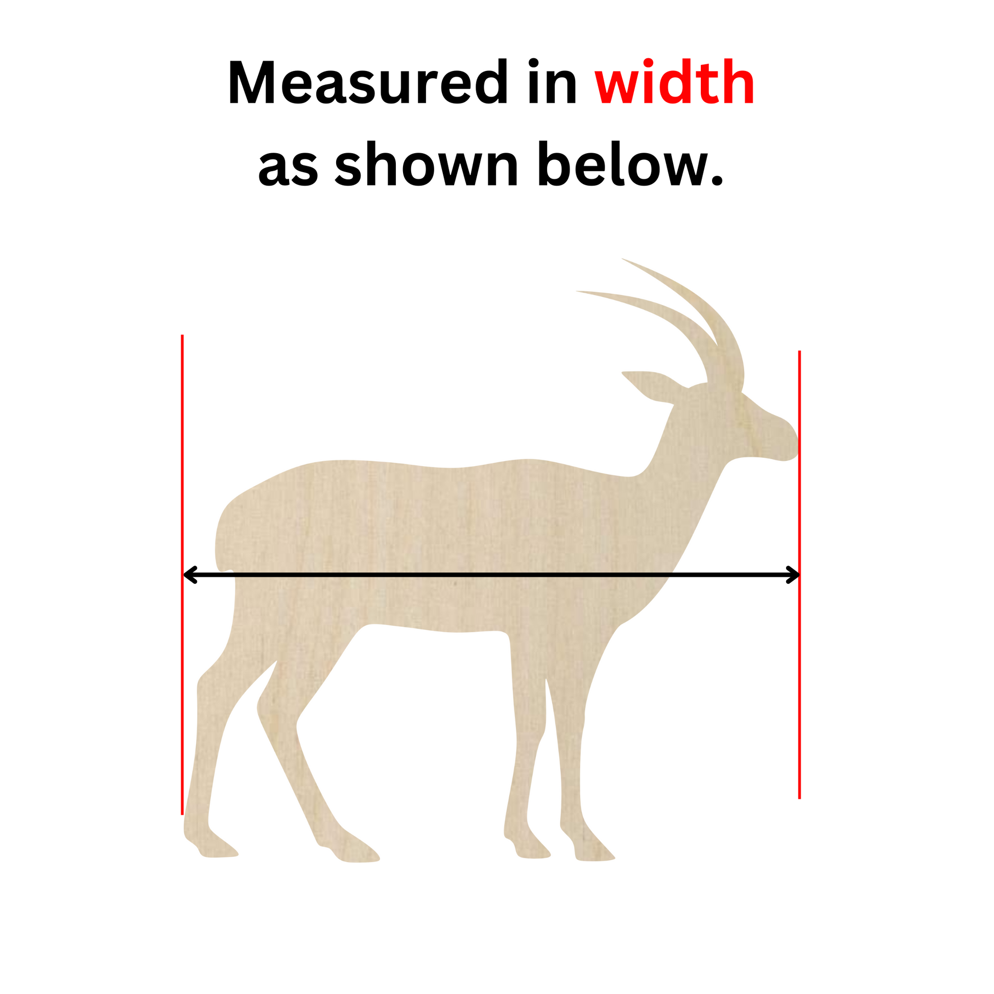 a picture of a deer that is measuring the height of it