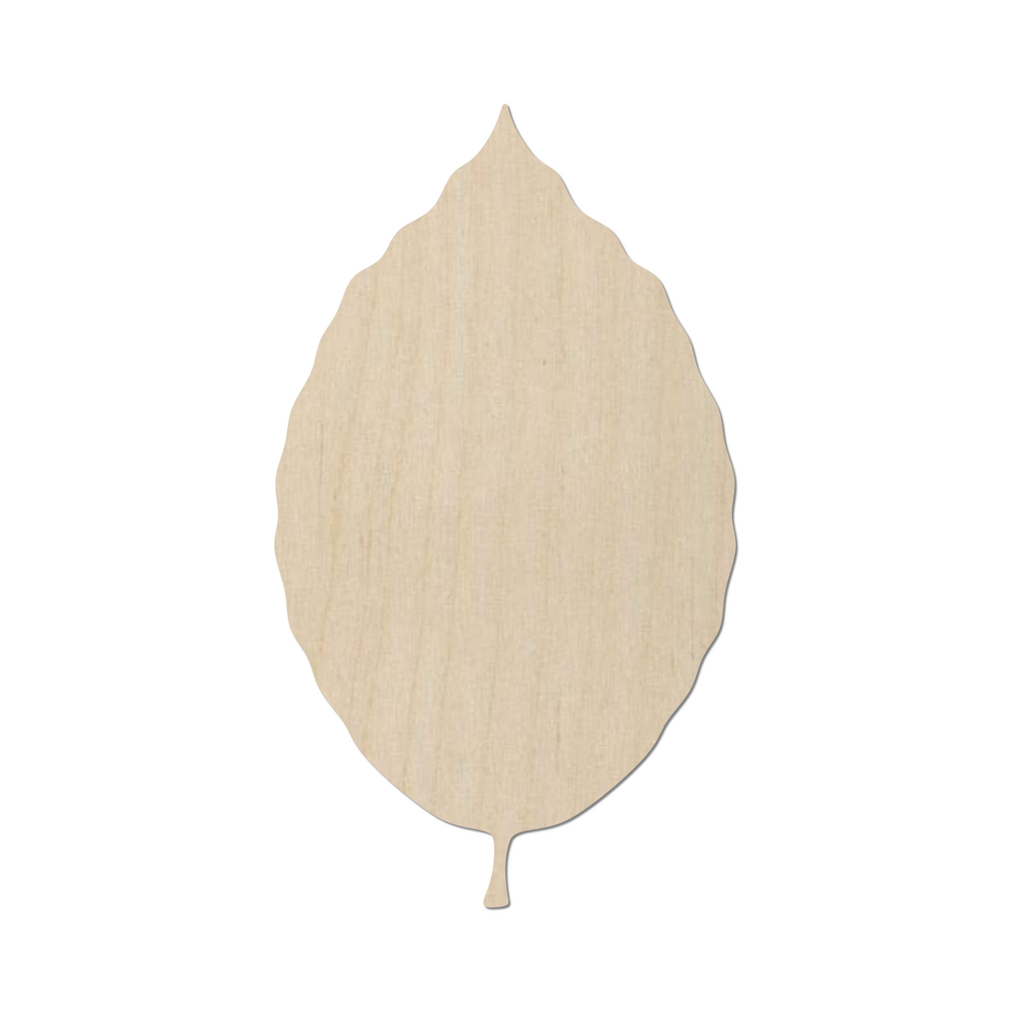 Wooden Beech Leaf Shape - DIY Craft