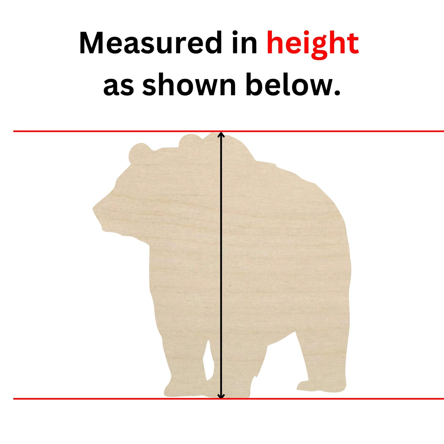 a picture of a bear that is measuring the height of the bear