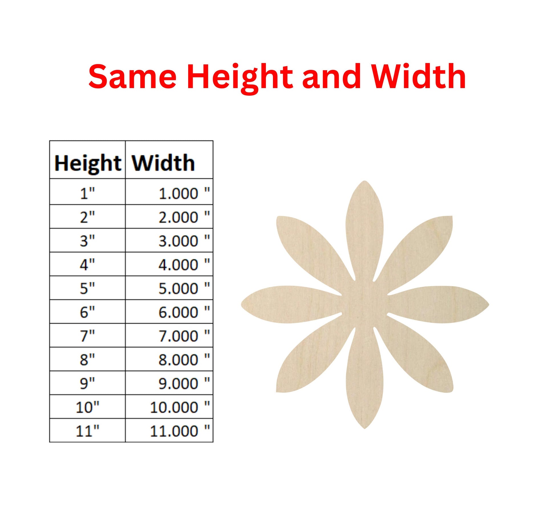 some height and width of a flower