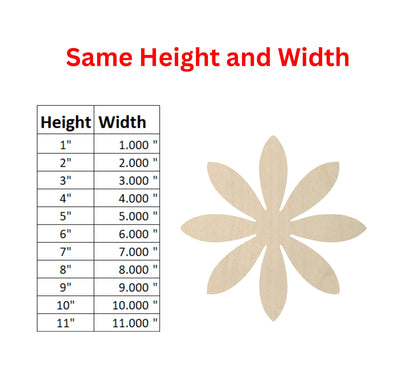 some height and width of a flower