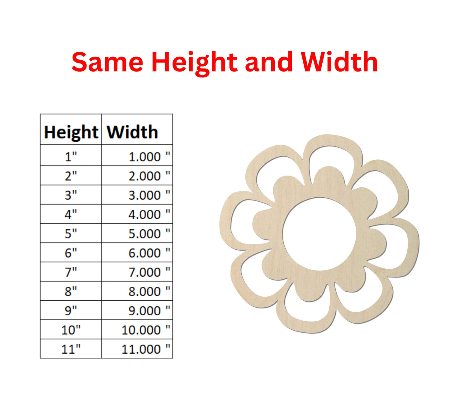 some height and width of a flower