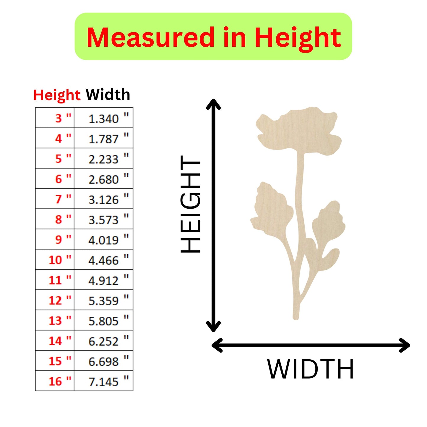 the height of a flower is shown with a height chart