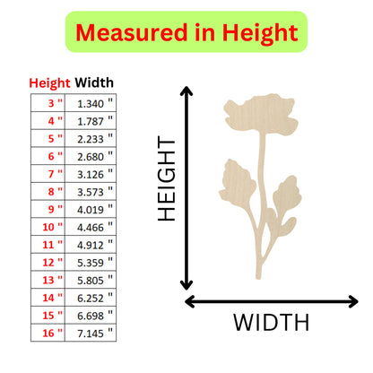 the height of a flower is shown with a height chart