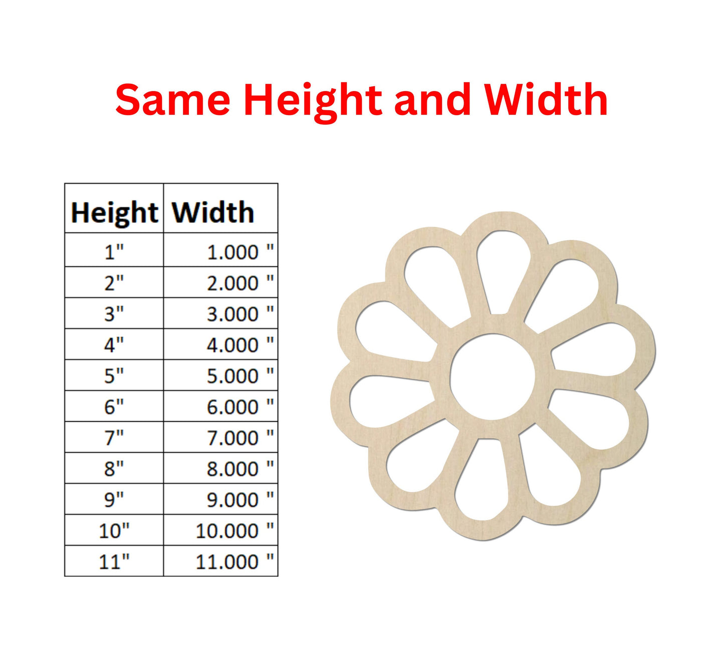 a picture of some height and width of a flower