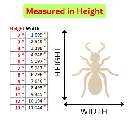 a picture of a spider with measurements