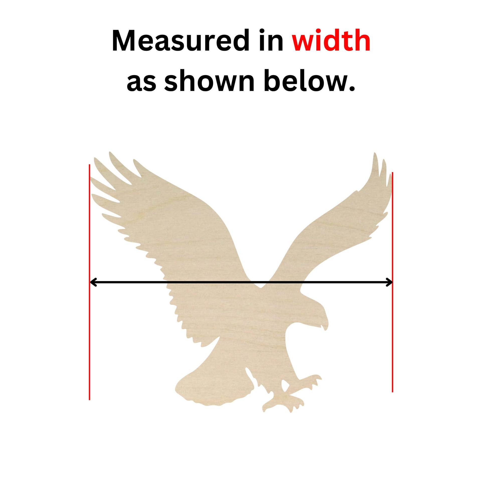 a picture of an eagle with a ruler in front of it