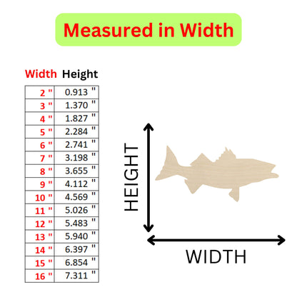 a fish is shown with a height chart