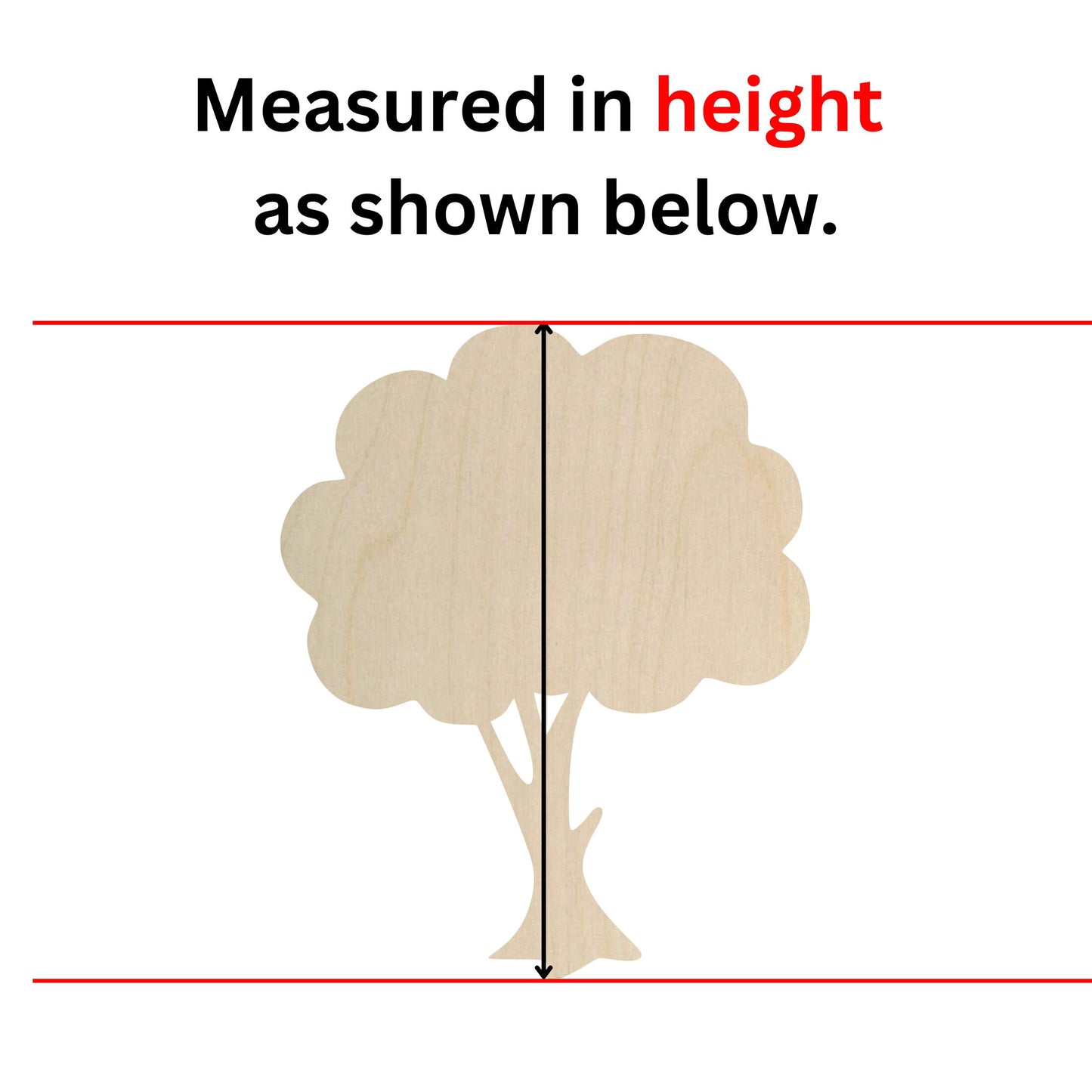 a picture of a tree with the height of it