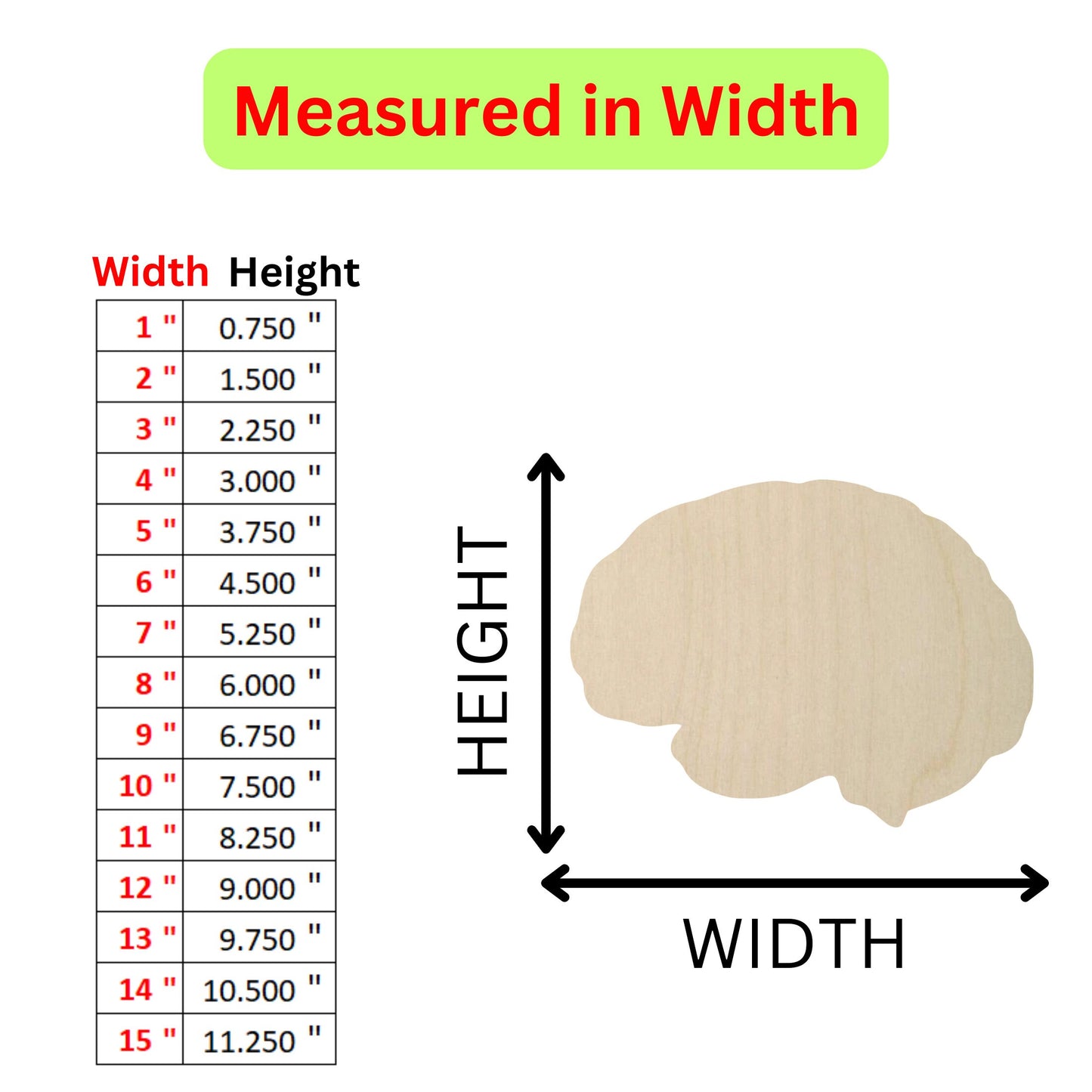 a diagram of the height of a wooden brain