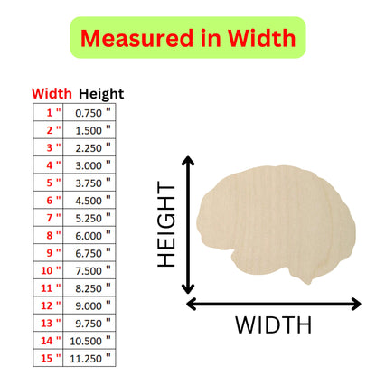 a diagram of the height of a wooden brain