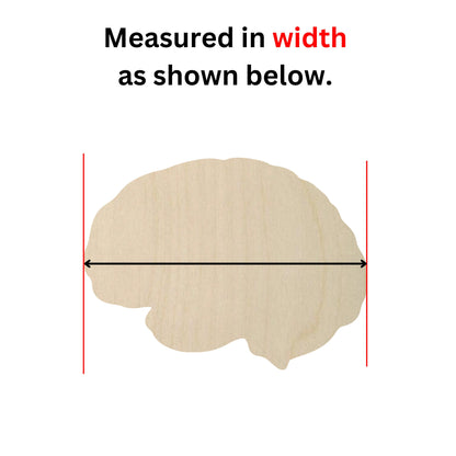 a picture of a wooden brain with a line going through it