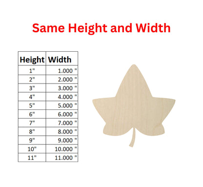 some height and width of a wooden leaf