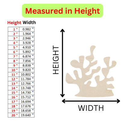 a height chart for a plant with a height