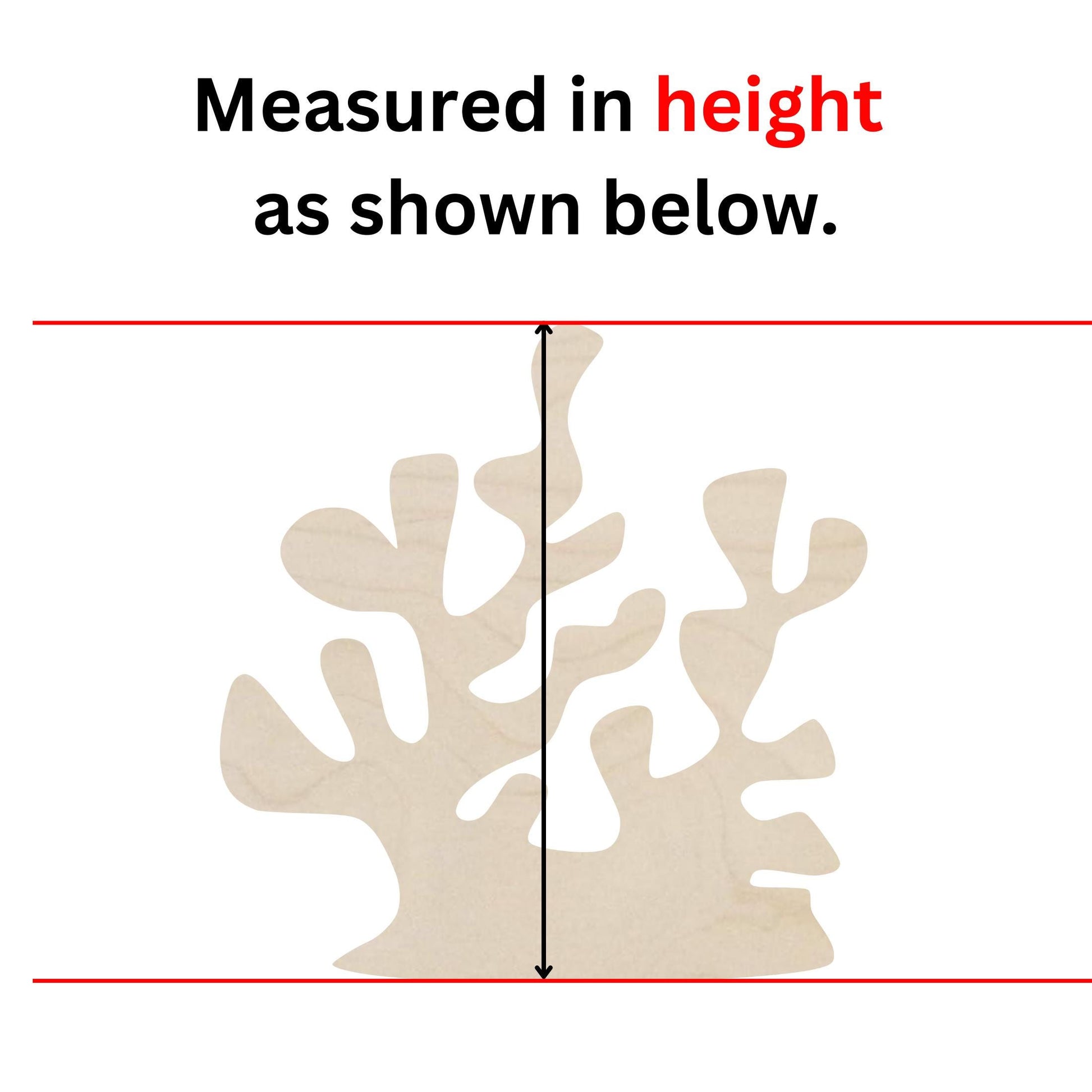 a poster with a picture of a tree and the words measure in height as shown