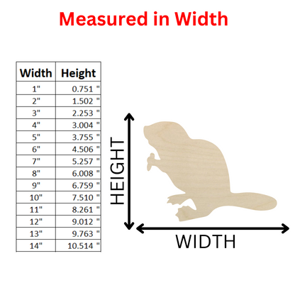 Measurements of Beaver Cutout