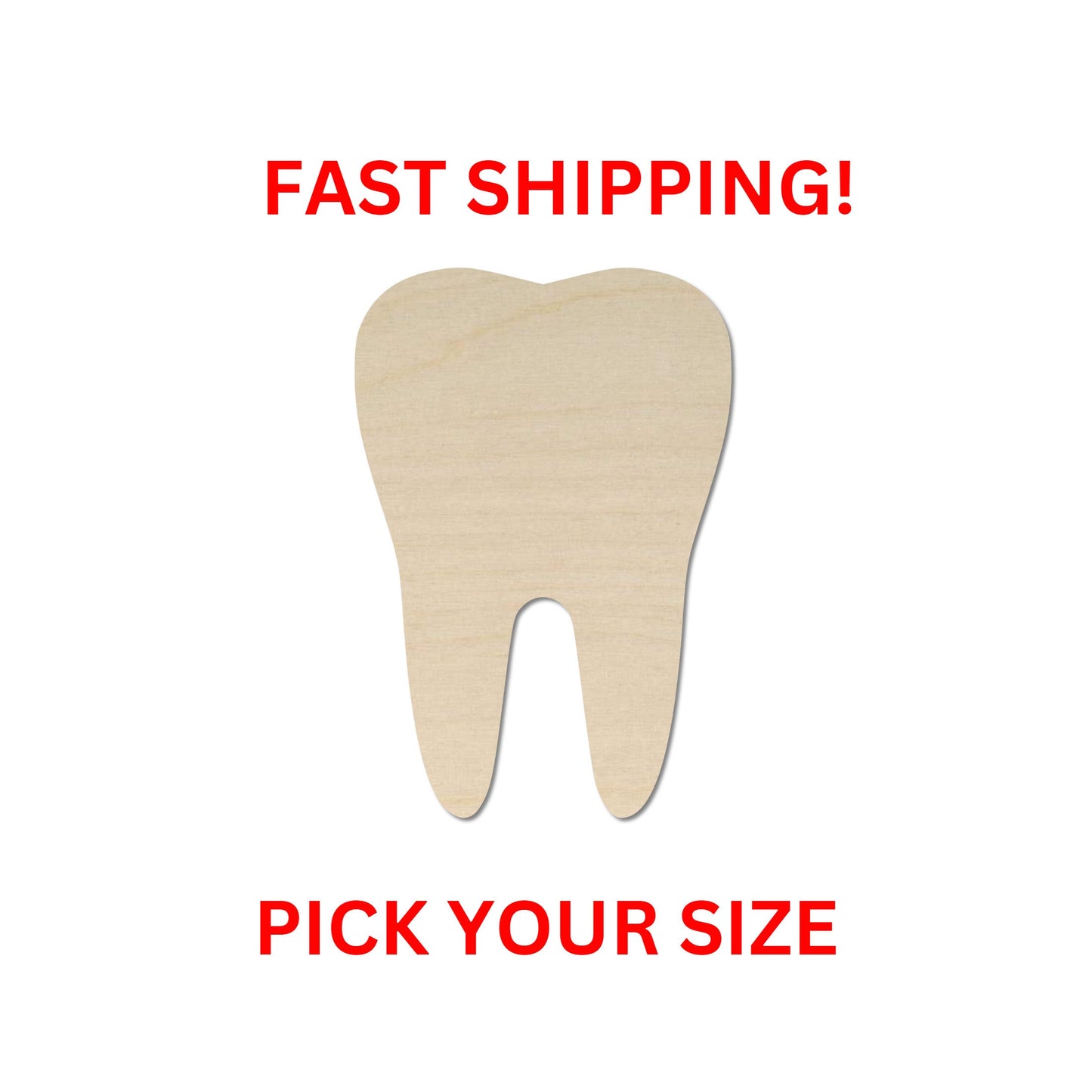 Wooden Tooth Shape | Tooth Fairy | Dental Decor | Craft Supplies | Bulk Wholesale | Laser Cut